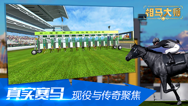 新的征程等你挑战 《相马大师》5月31日新服开启(踏上新的征程开启新挑战)